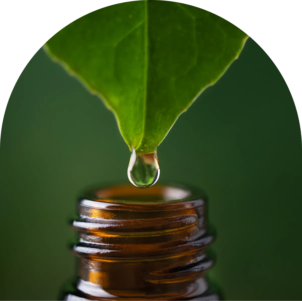 A bottle of oil with a leaf on top