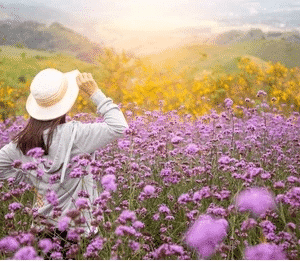 Woman in hat, standing in purple flowers.