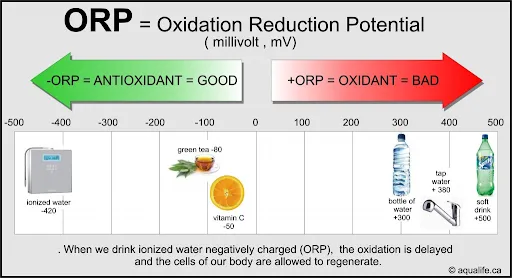 ORP levels in various drinks chart.
