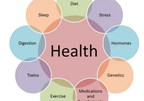 Health factors diagram with various influences.