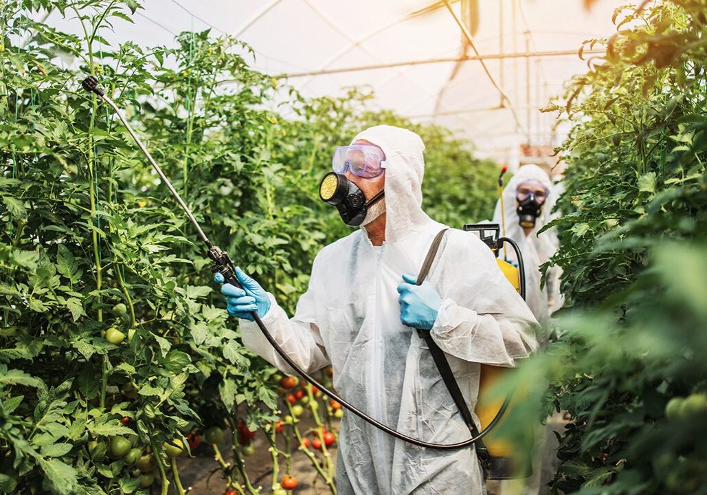 Person spraying plants in greenhouse, protective gear.
